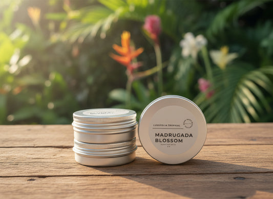 The Eco Ambient Collection - Travel, Test and Gift Set