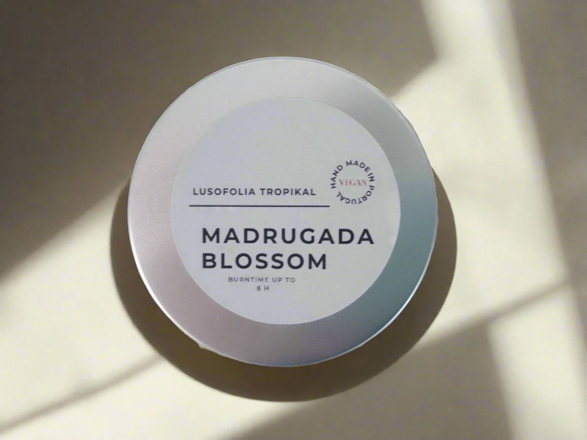 The Eco Ambient Collection - Travel, Test and Gift Set