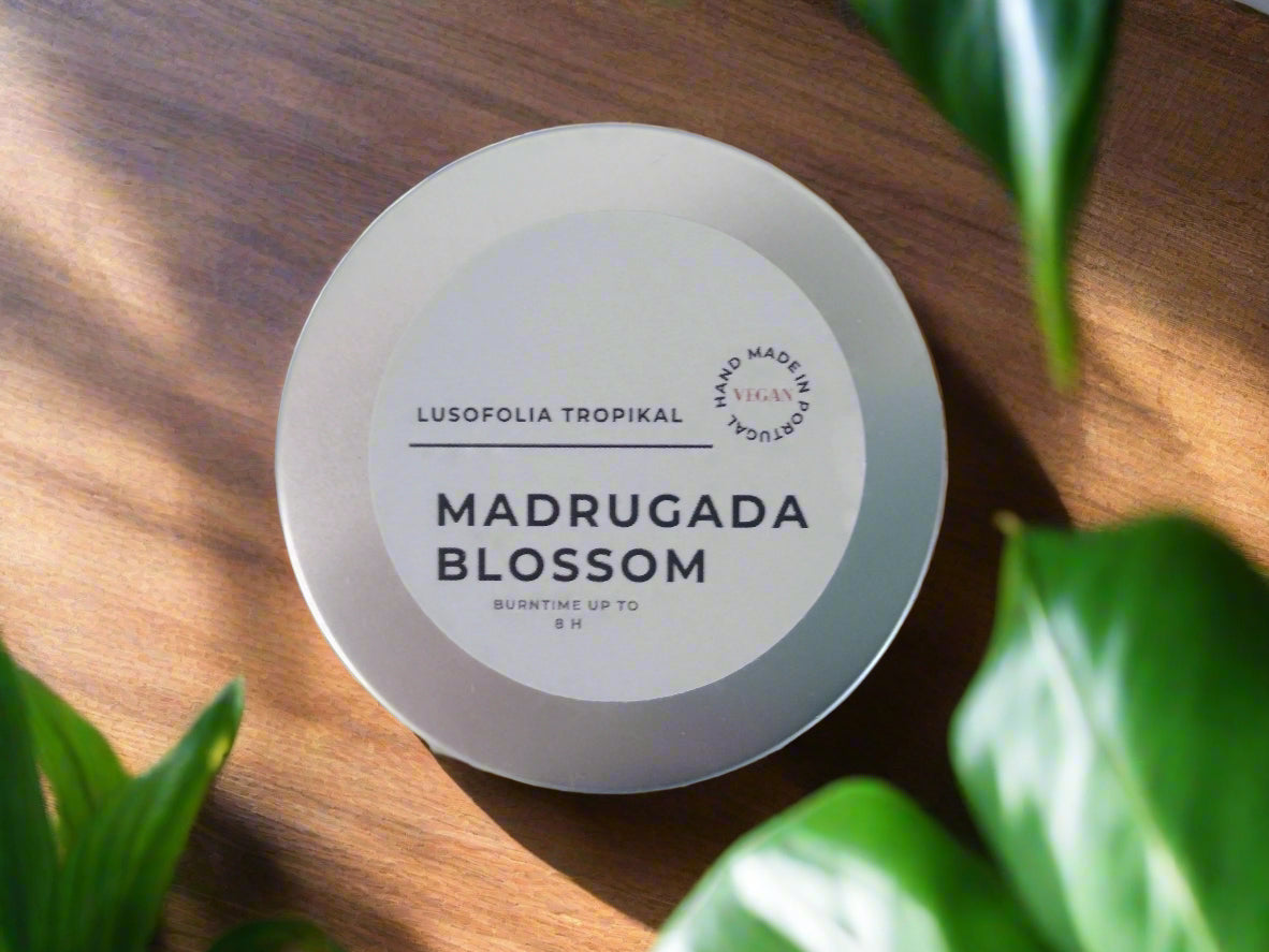 The Eco Ambient Collection - Travel, Test and Gift Set