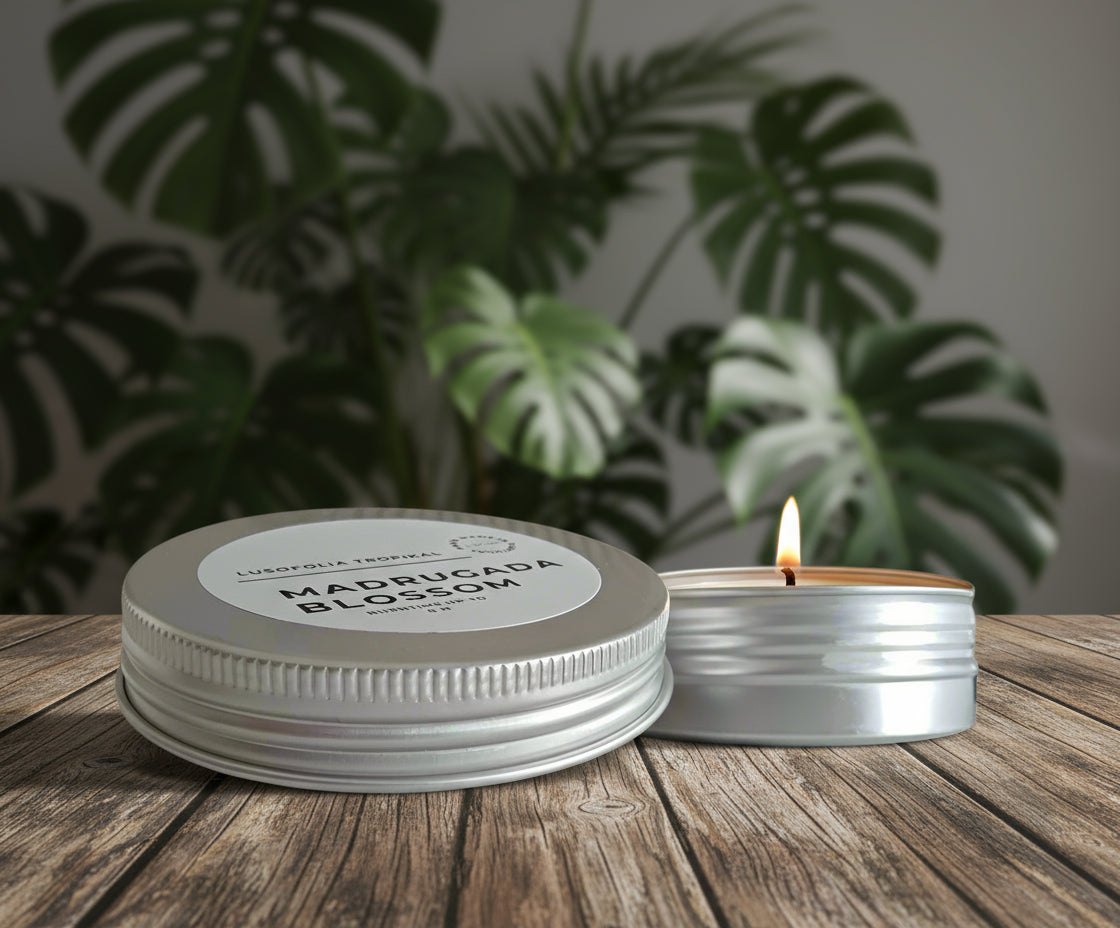 The Eco Ambient Collection - Travel, Test and Gift Set
